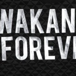 Disney Black Panther: Wakanda Forever Spirit Jersey For Adults -Disney 2140058381312 4