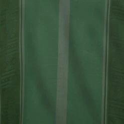 Disney Bruno Costume For Kids – Encanto -Disney 5502041409248 6