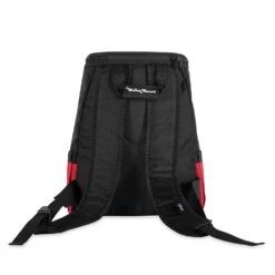 Disney Mickey Mouse Button Cooler Backpack -Disney 6804058733952 3