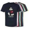 Adults' Walt Disney World Standing Mickey Mouse T-Shirt – Customized -Disney 7405055825926